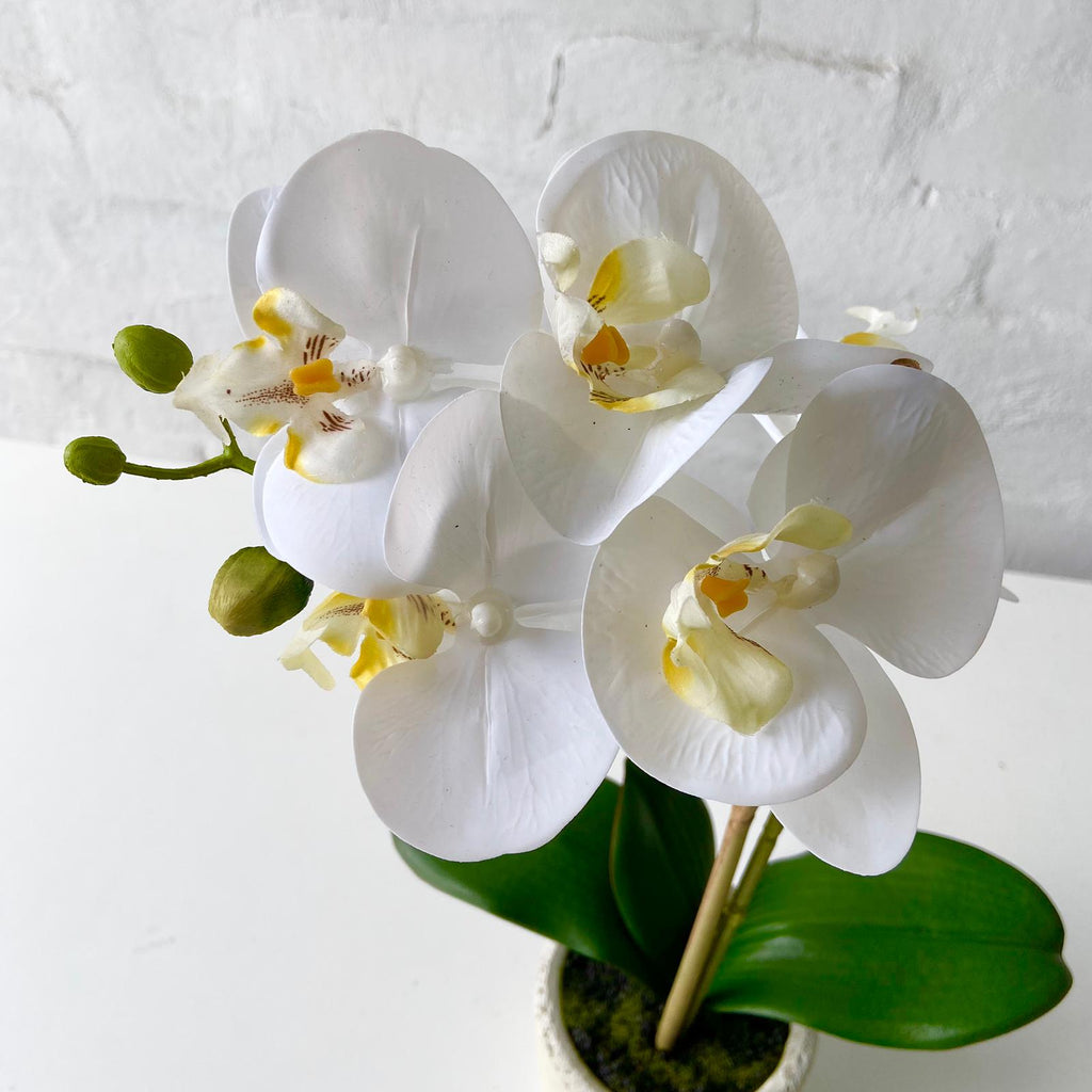 Artificial Orchid Potted-White