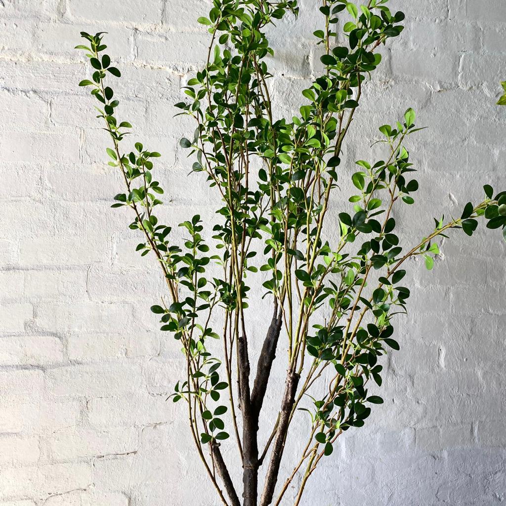 Artificial Fine Ficus Tree