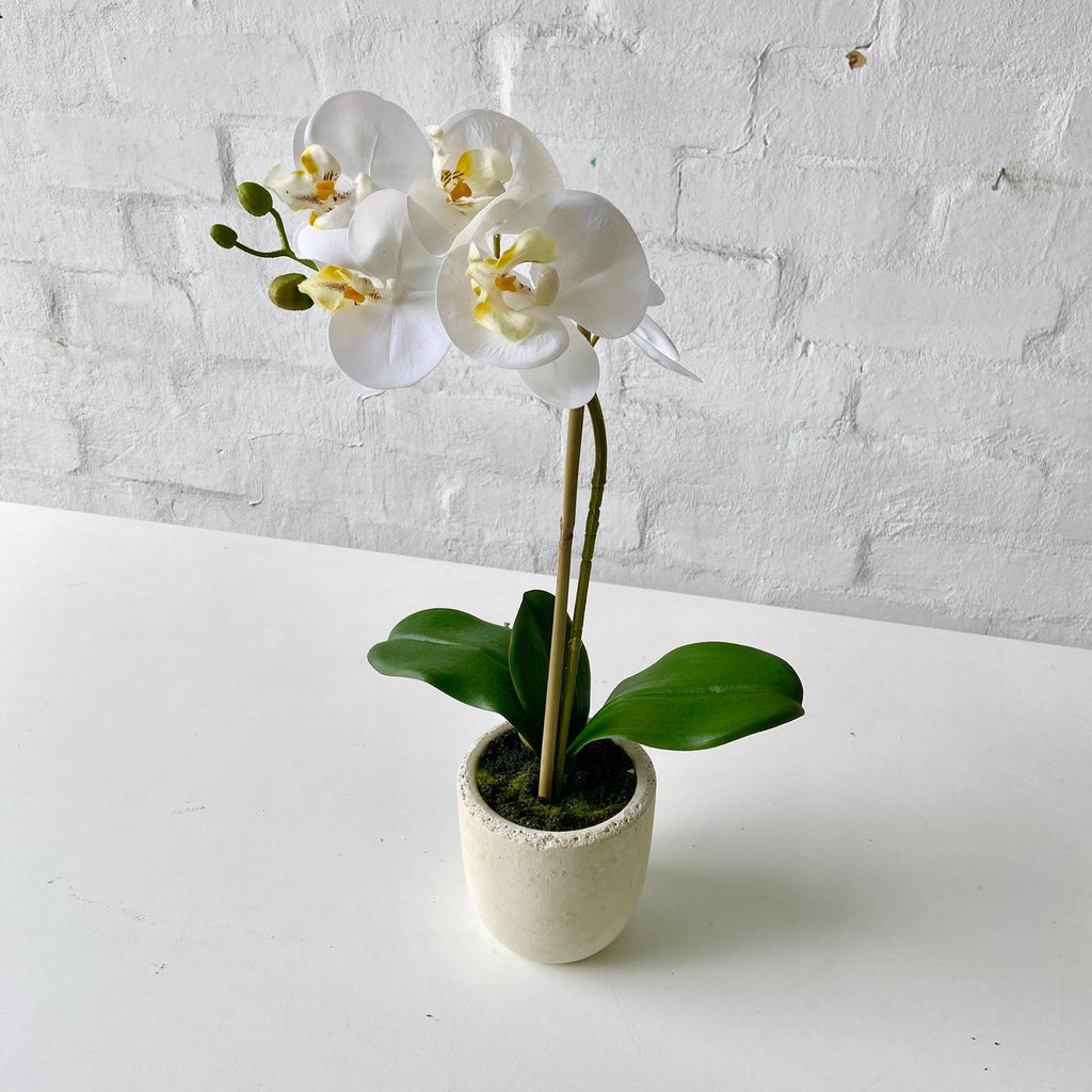 Artificial Orchid Potted-White