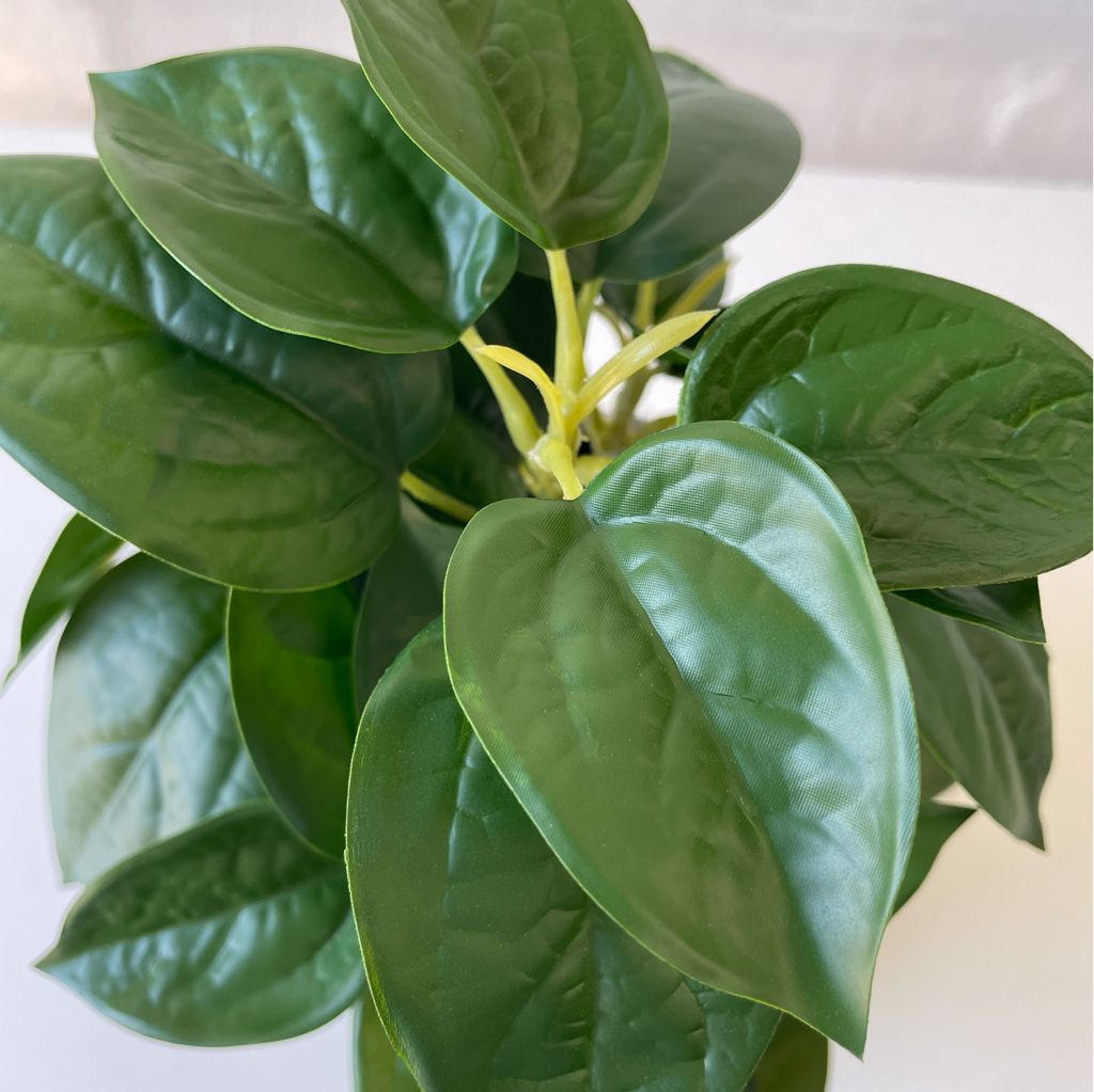 Artificial Philodendron Plant-Small