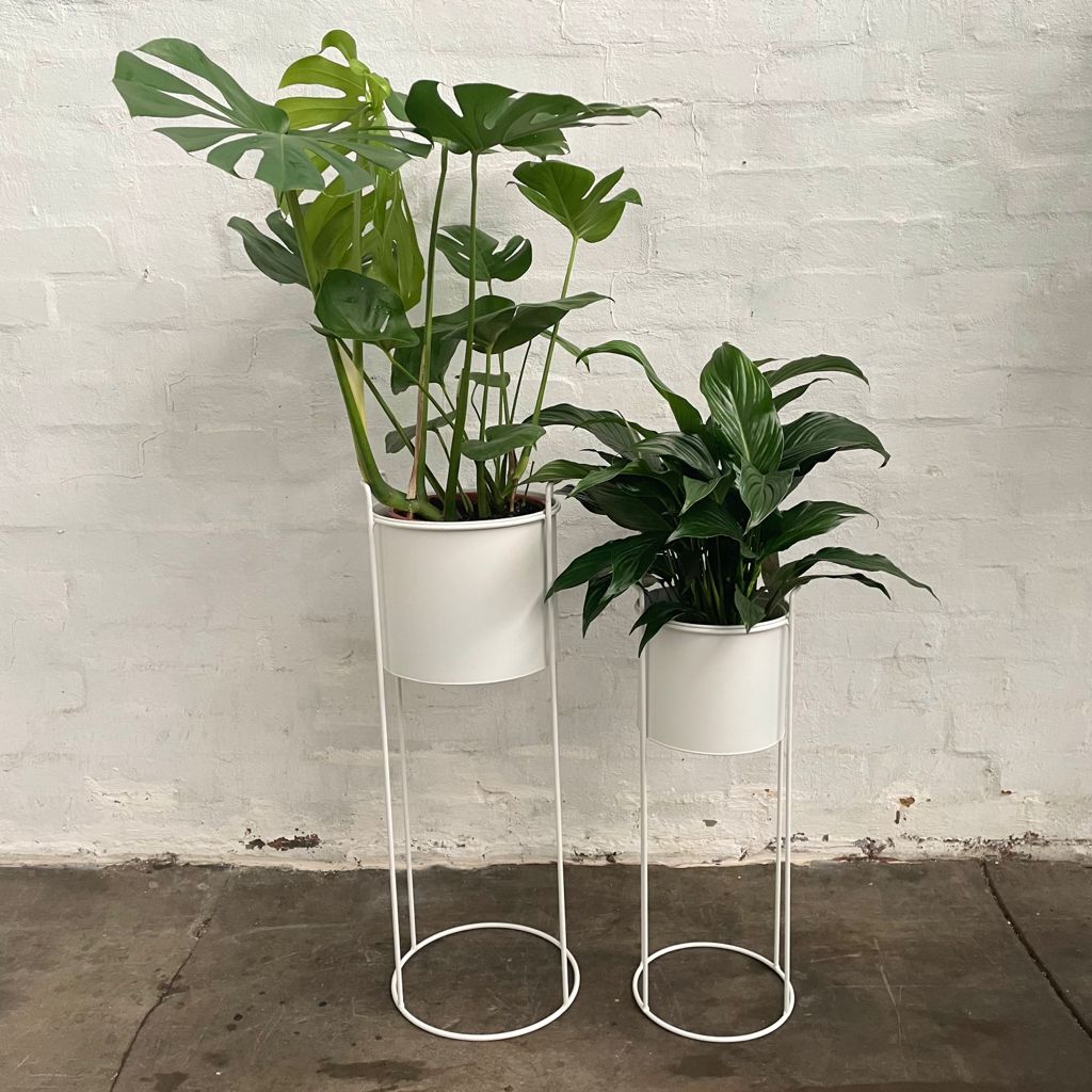 Luna Metal Plant Stand-White-Large