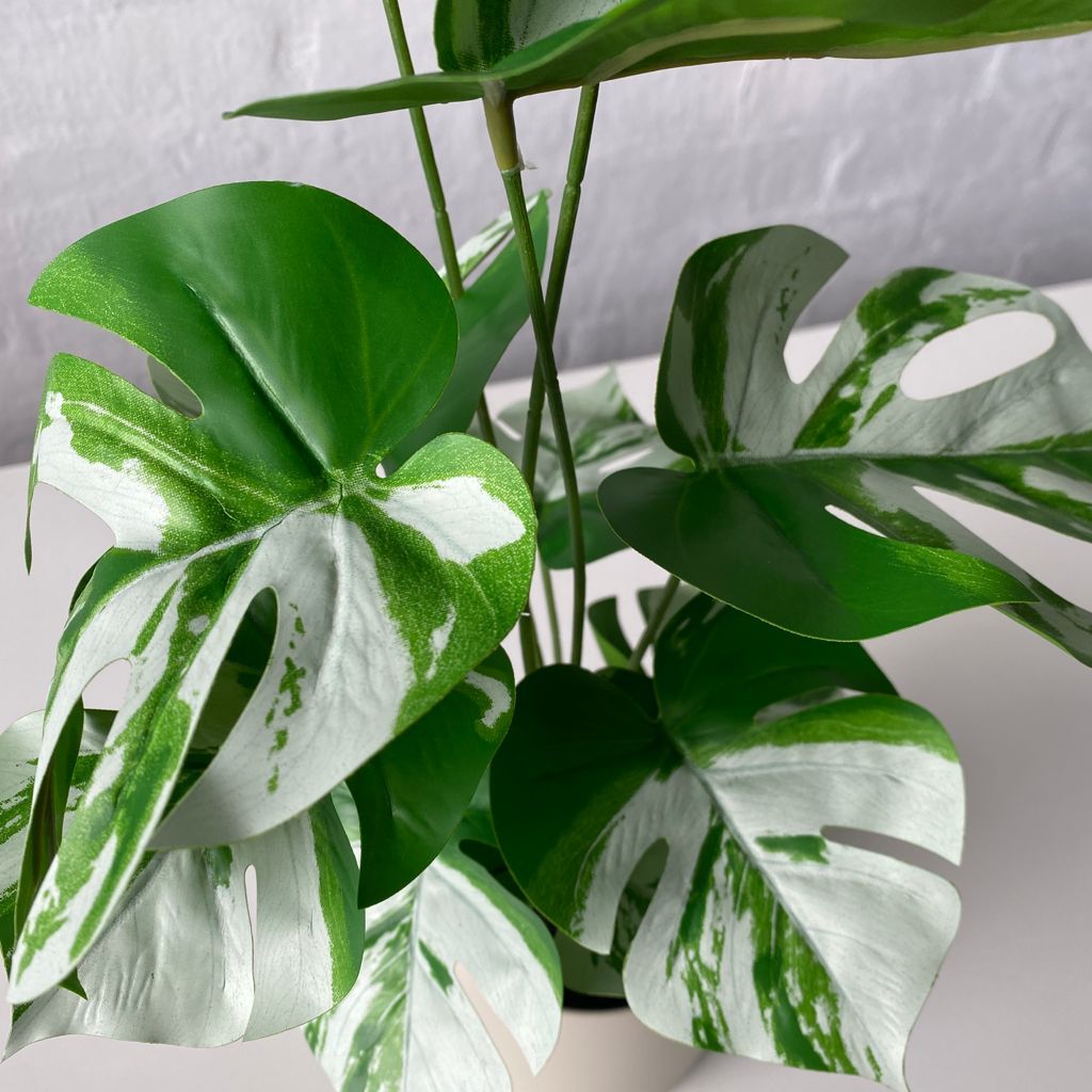 Artificial Thai Constellation Monstera