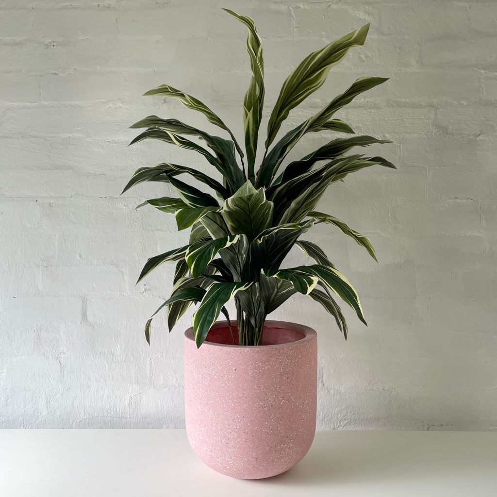 Artificial Cordyline Plant-Light Green