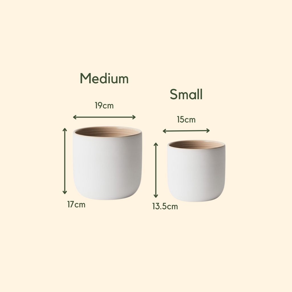 Cleo Pot-Small