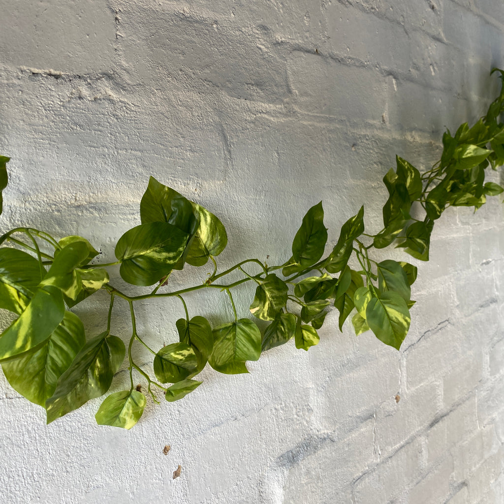 Artificial Pothos Vine