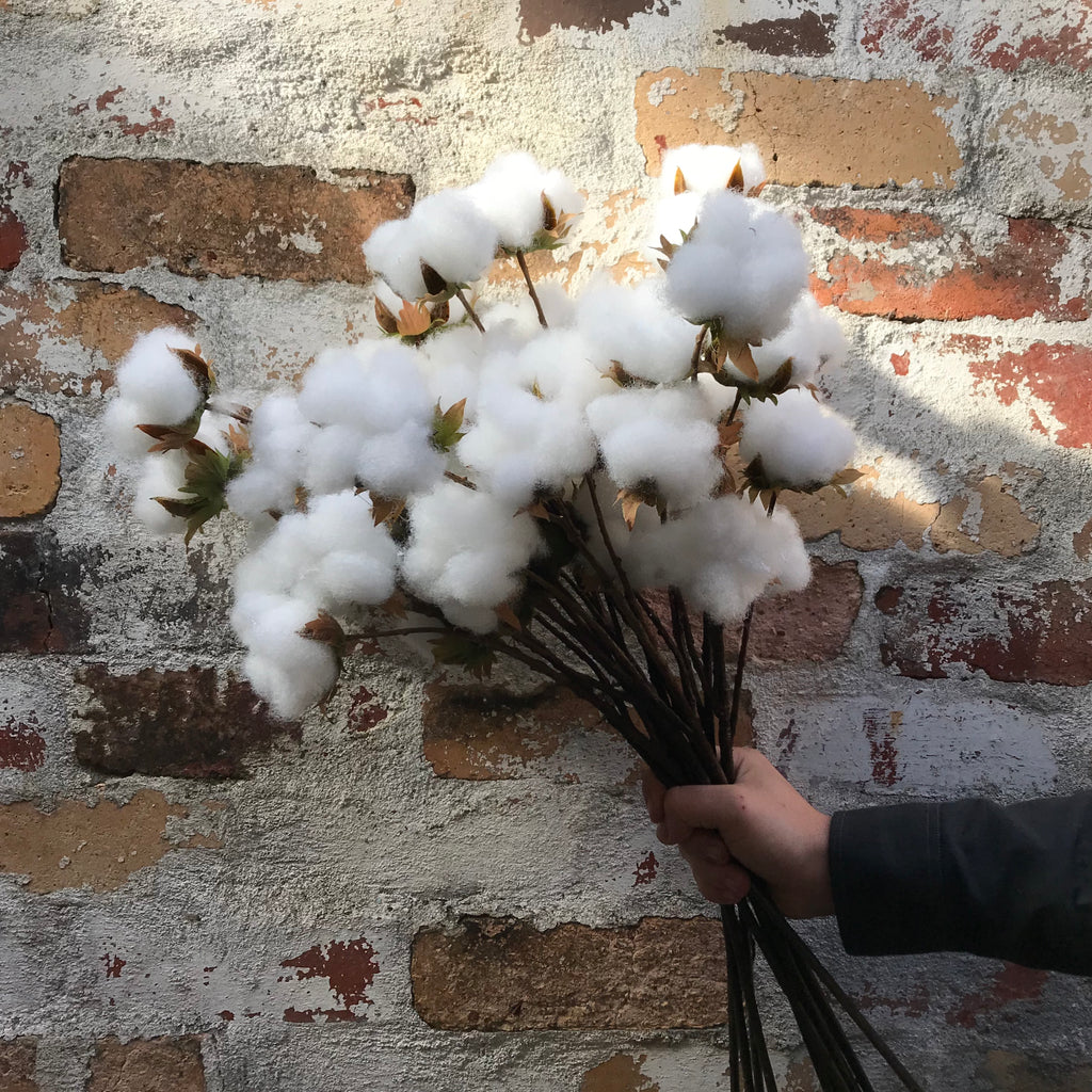 Artificial Cotton Ball Spray-3 Stems