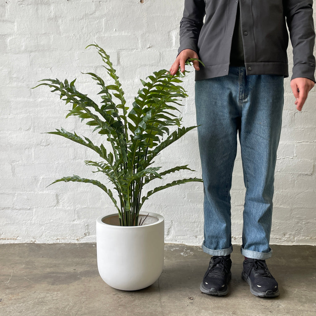 Artificial Hare’s Foot Fern