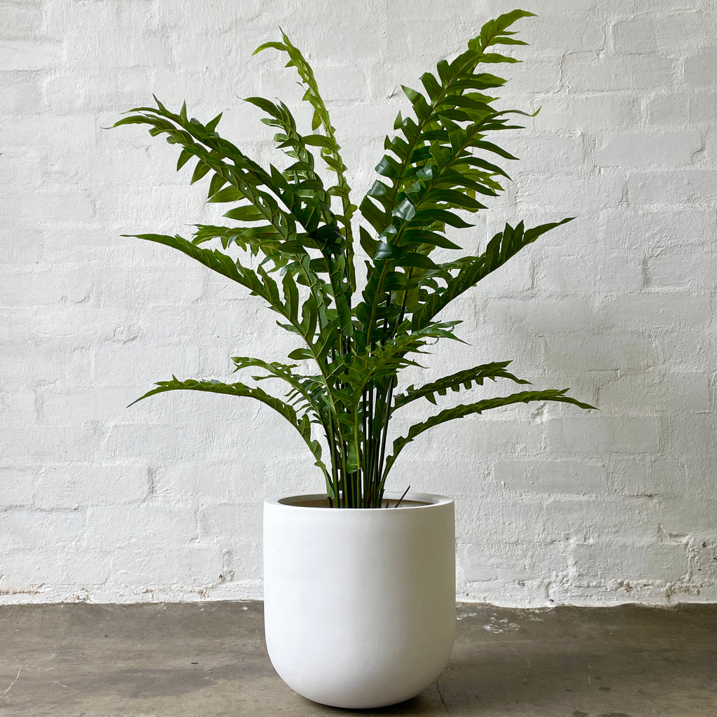 Artificial Hare’s Foot Fern