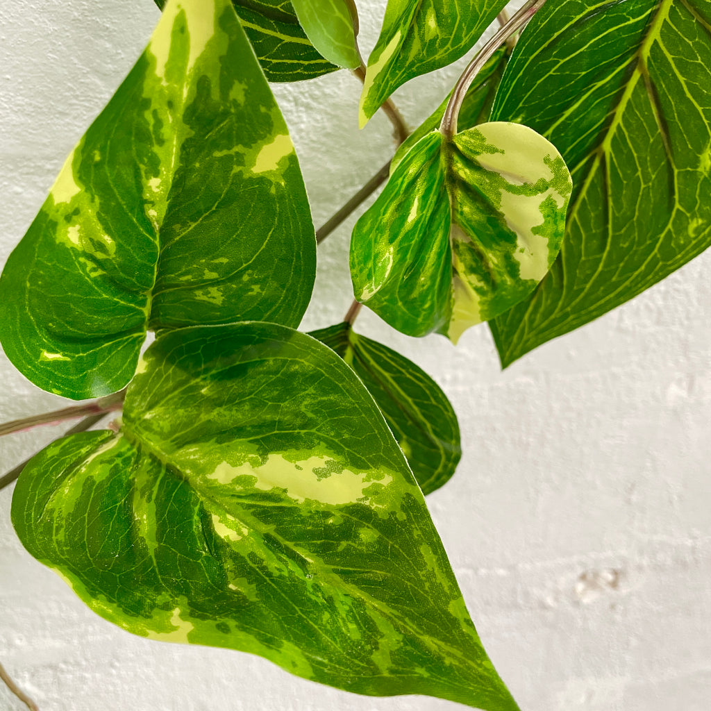 Artificial Pothos Vine-Outdoor Plant