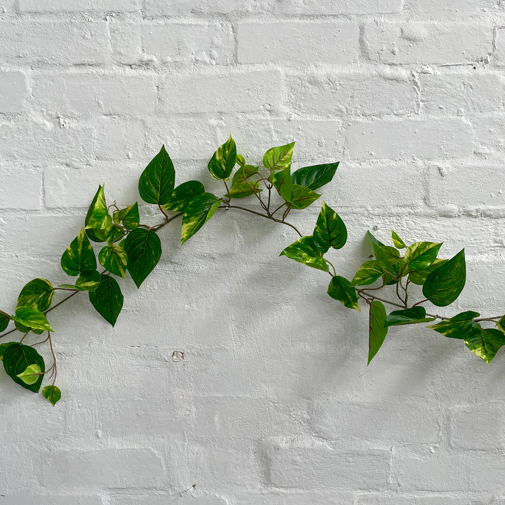 Artificial Pothos Vine-Outdoor Plant