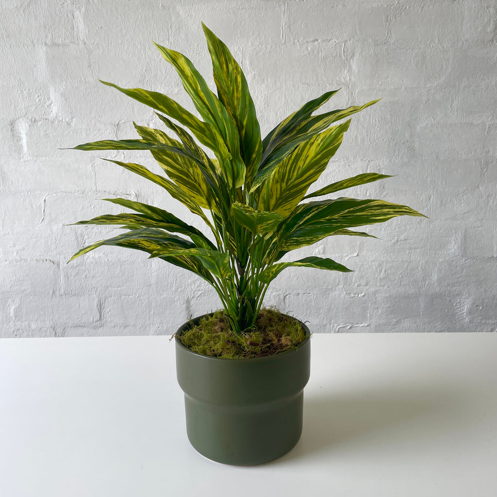 Artificial Yellow Cordyline Plant