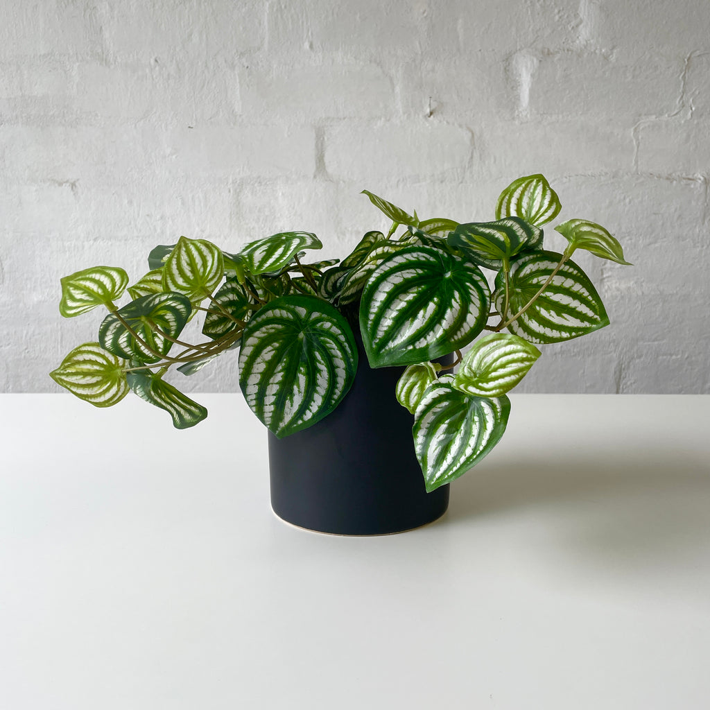 Artificial Peperomia Plant-Small