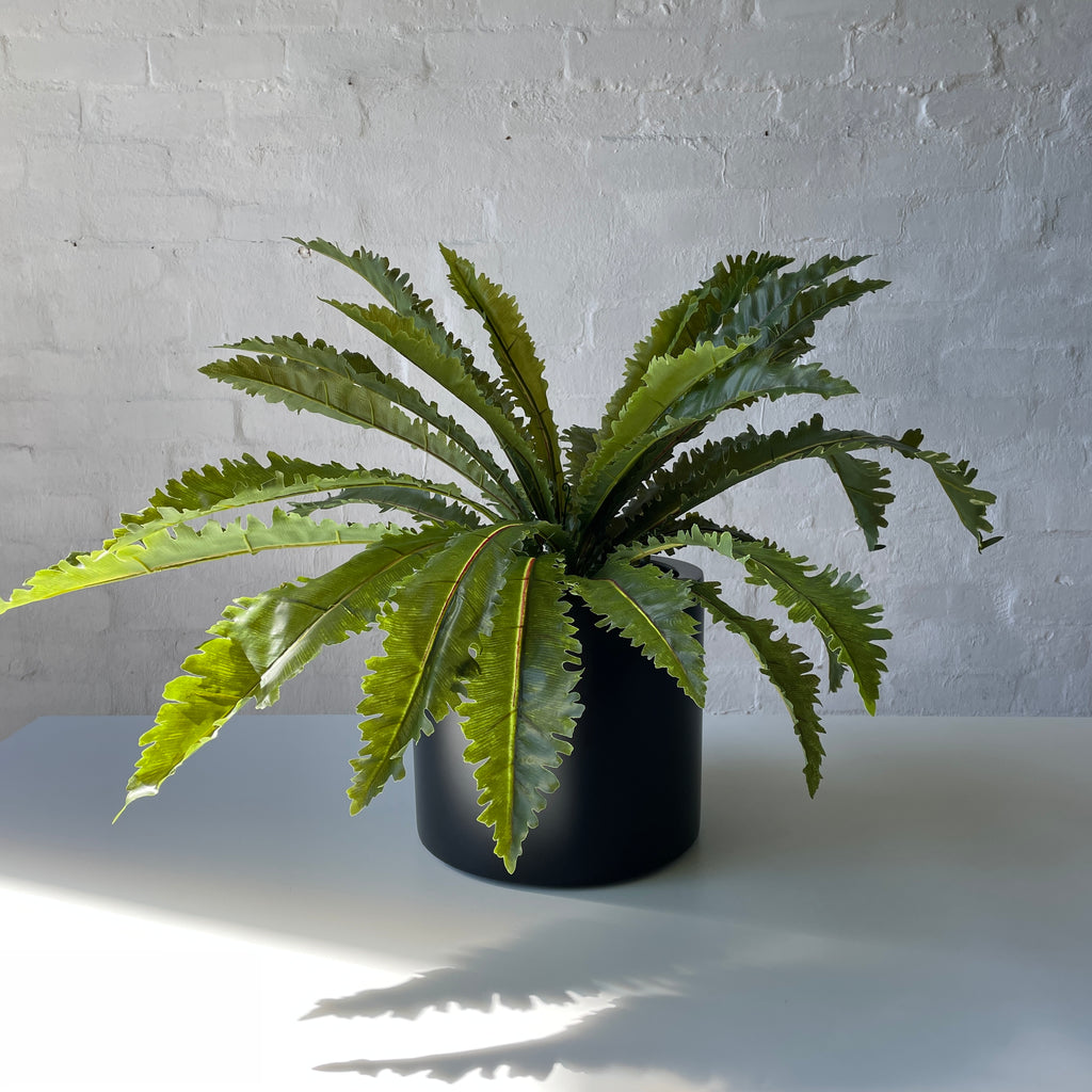 Artificial Asplenium Fern