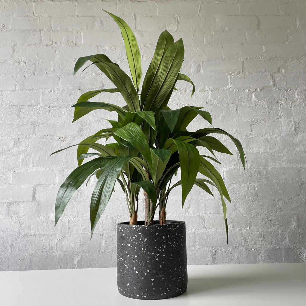 Artificial Cordyline Plant-Deep Green