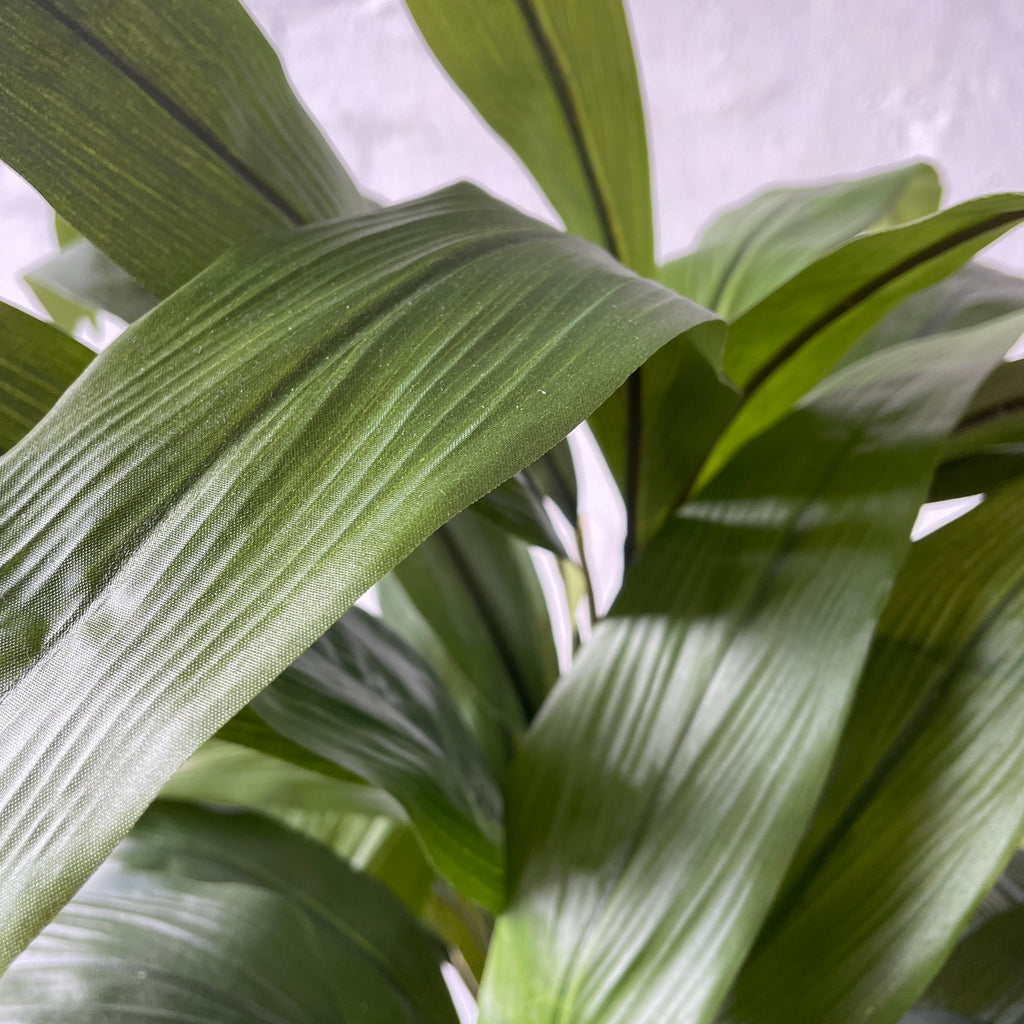 Artificial Cordyline Plant-Deep Green