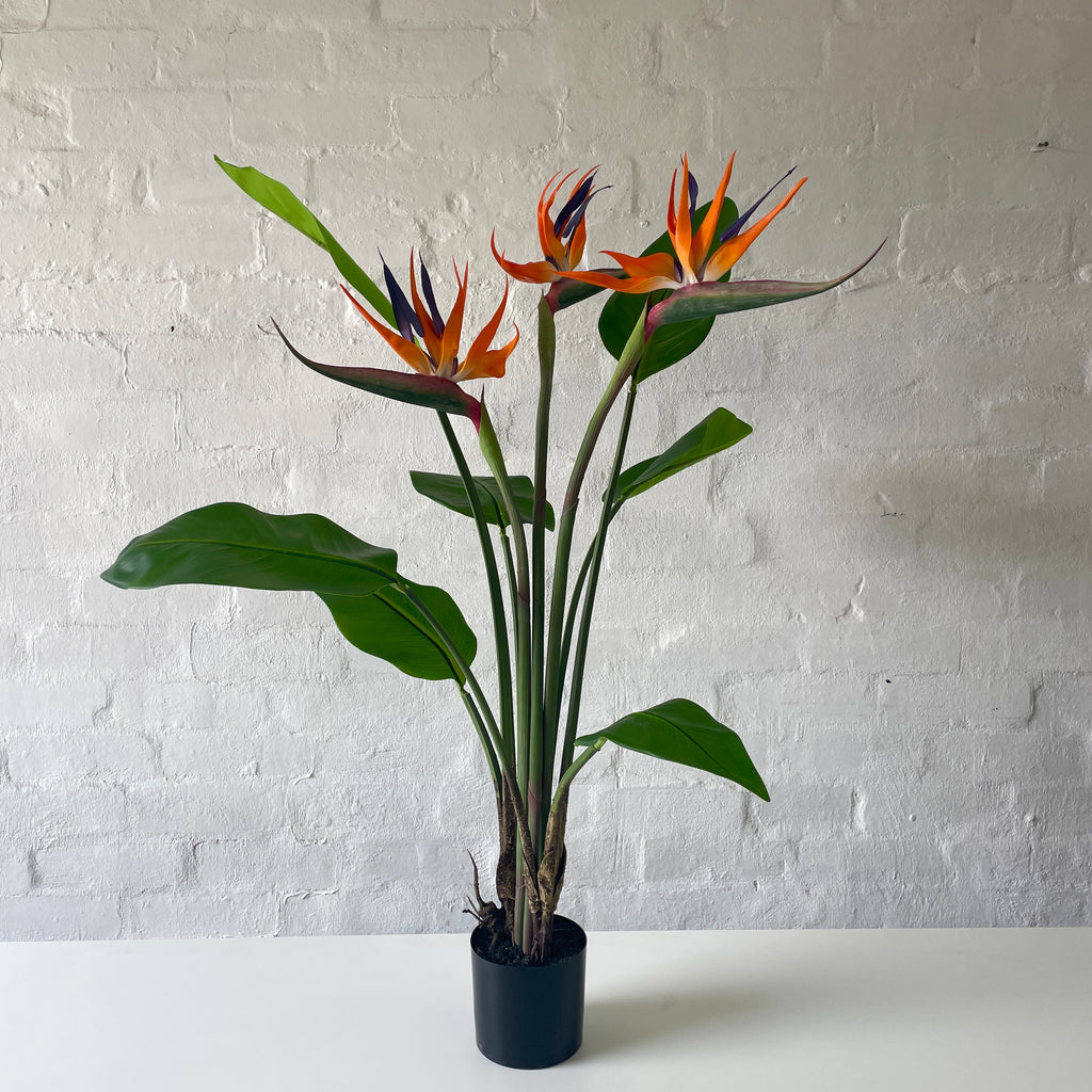 Aritifical Flowering Birds of Paradise