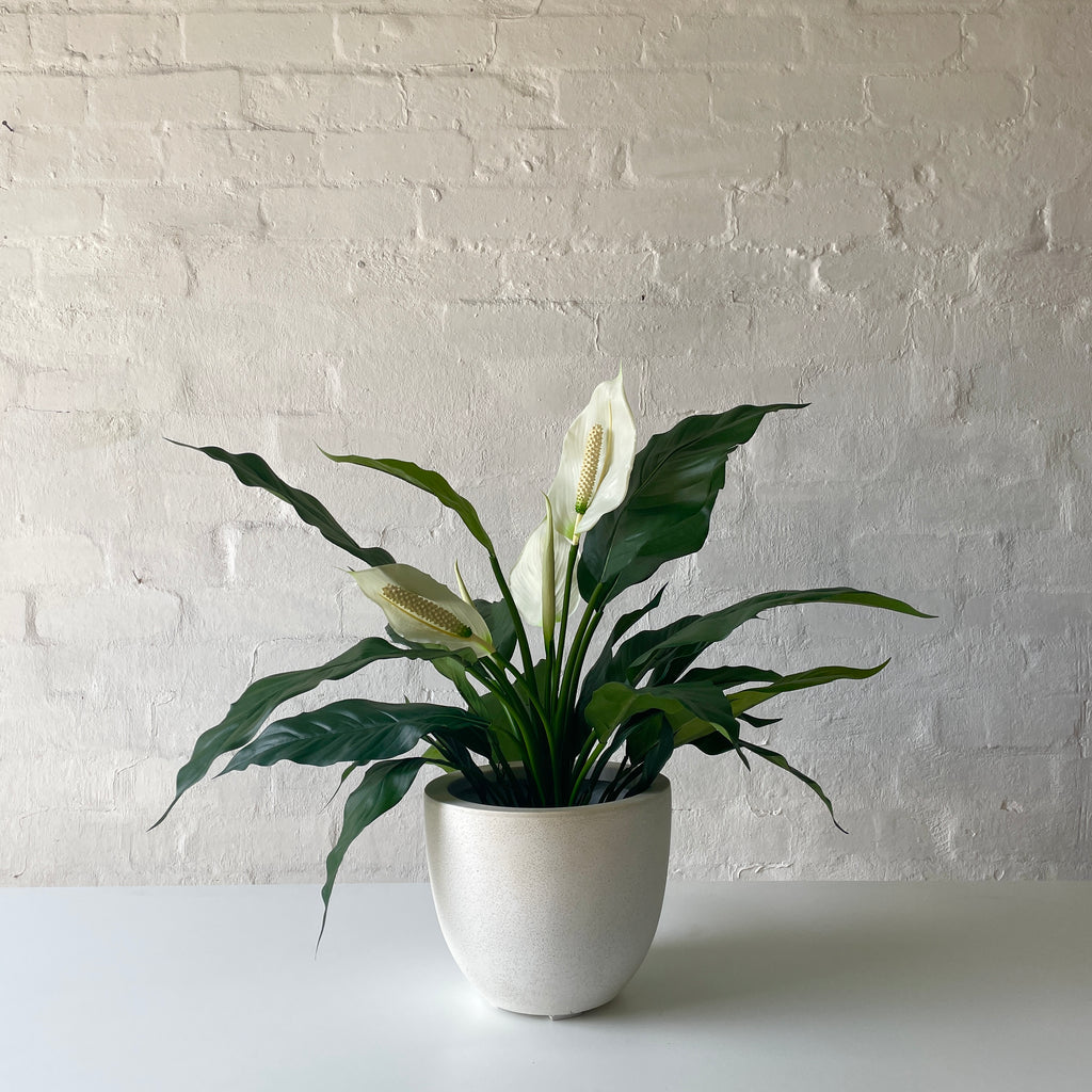 Artificial Peace Lily