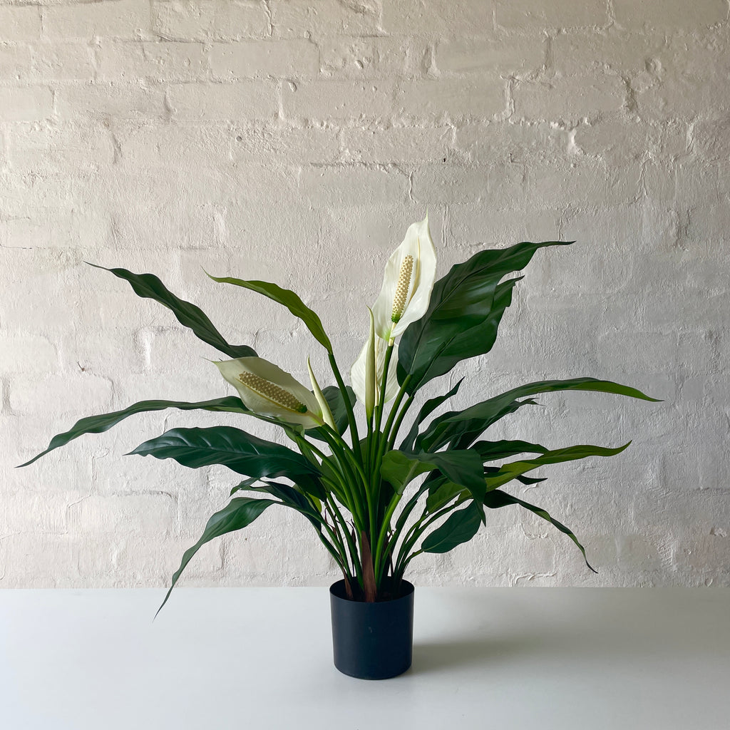 Artificial Peace Lily