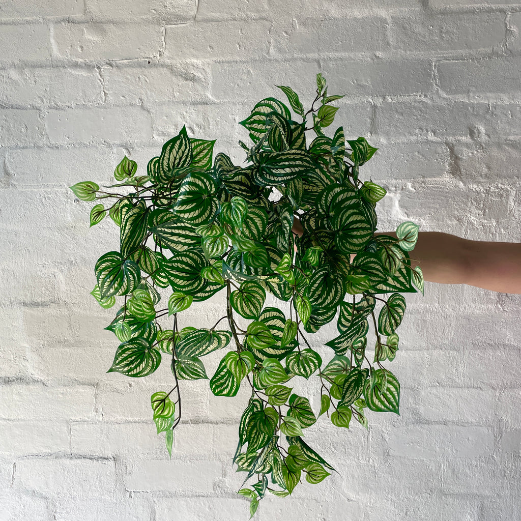 Artificial Hanging Peperomia