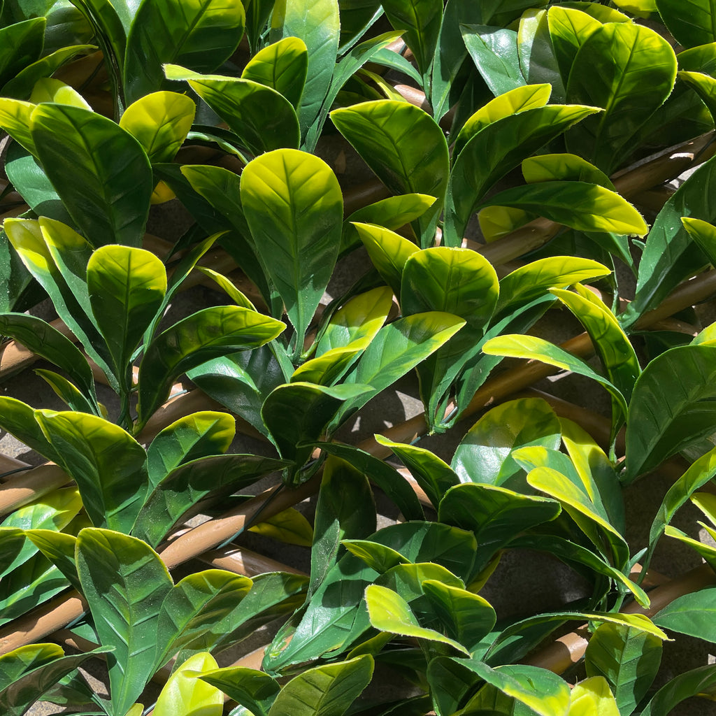 Artificial Laurel Trellis-Outdoor Plant