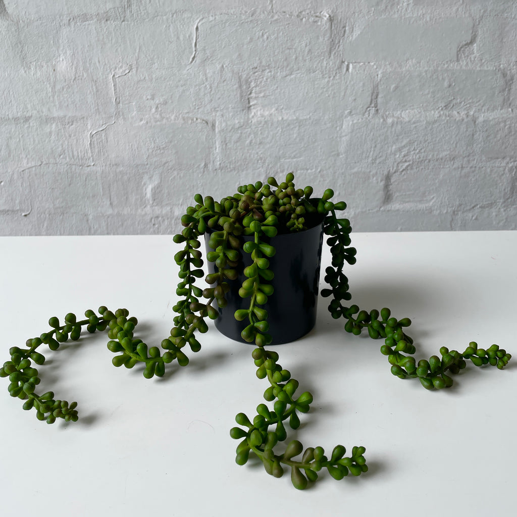 Artificial String of Pearls Plant