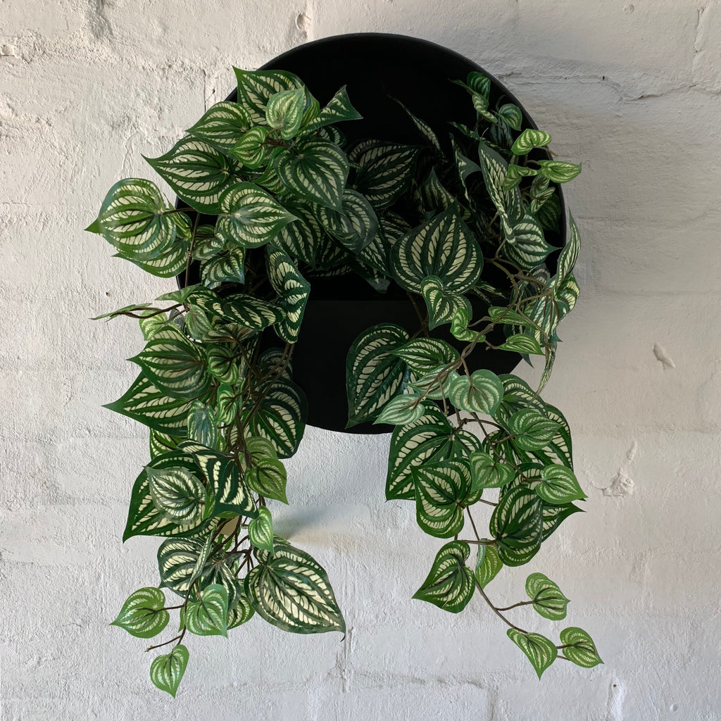 Artificial Peperomia Bush