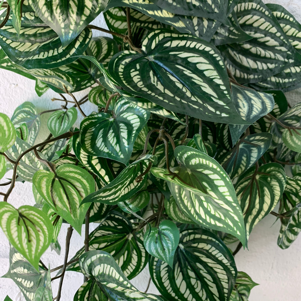 Artificial Peperomia Bush