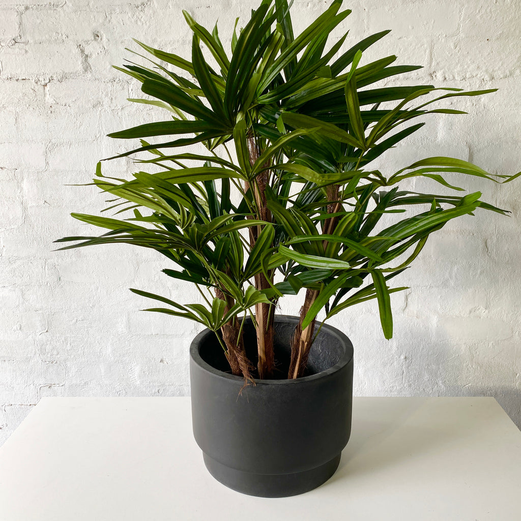 Artificial Raphis Palm Tree-Short