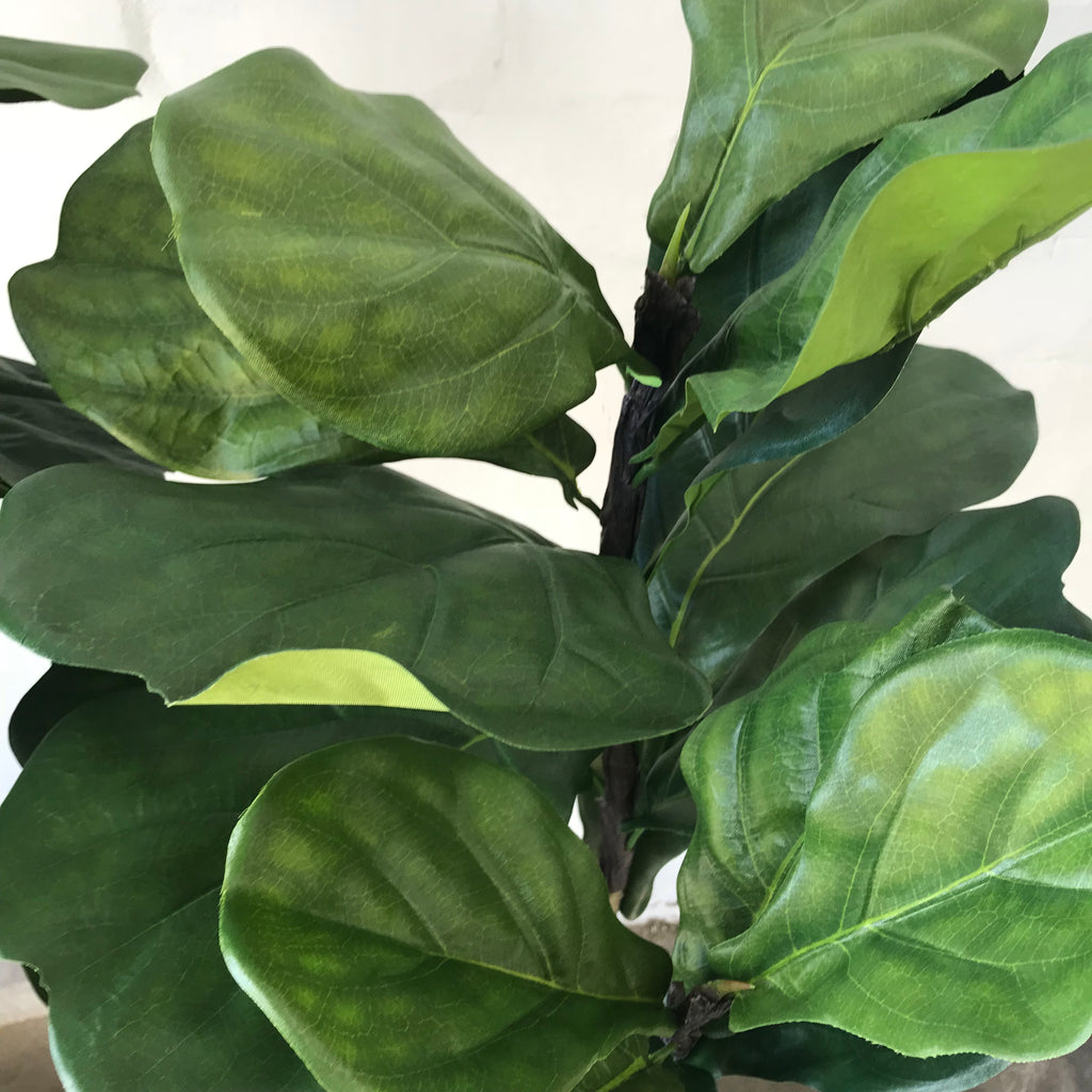 Artificial Fiddle Leaf