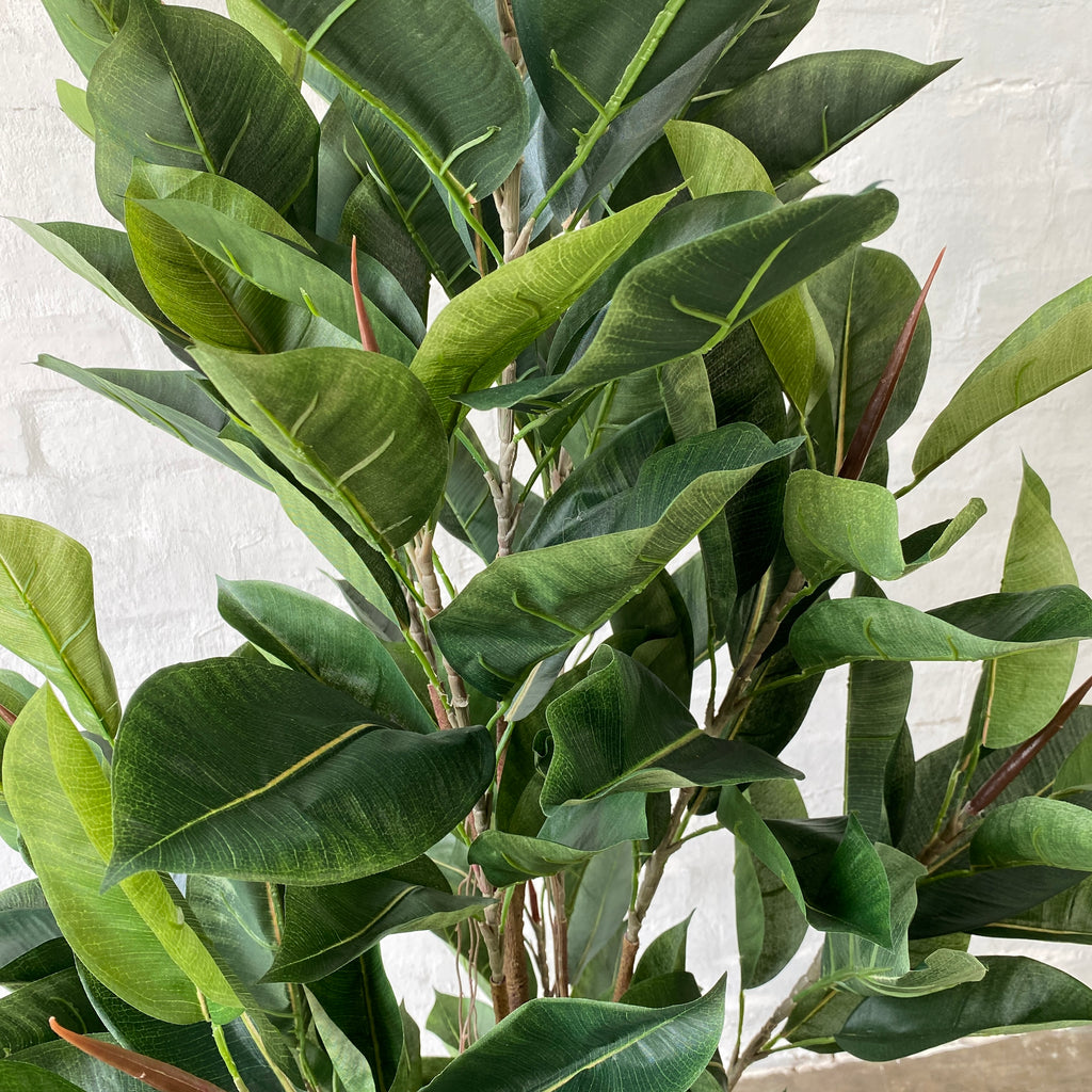 Artificial Rubber Tree