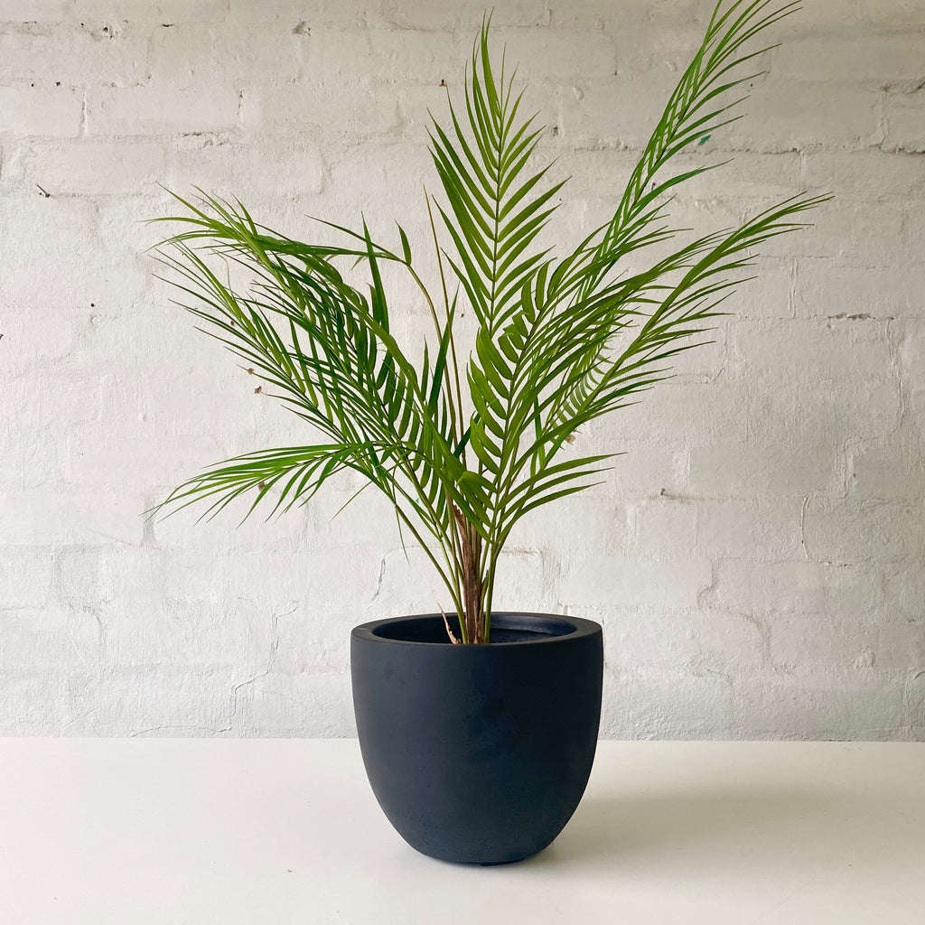 Artificial Phoenix Palm