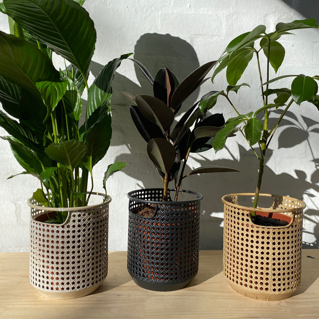 Rattan Style Planters-Metal