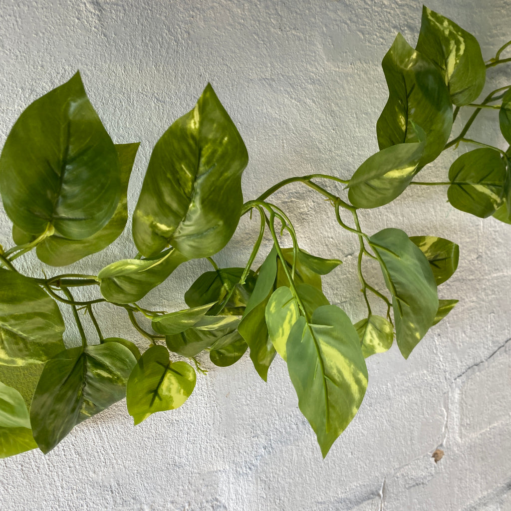 Artificial Pothos Vine