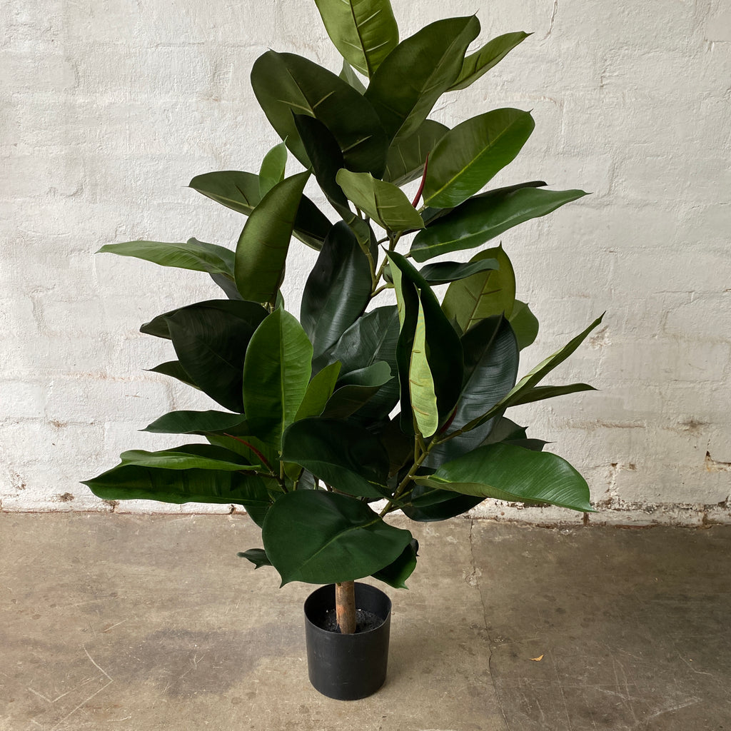 Artificial Rubber Tree-Short