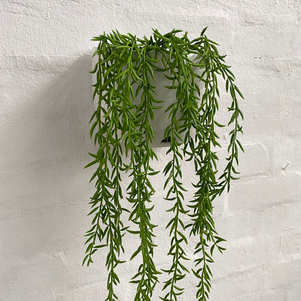 Artificial Rhipsalis String