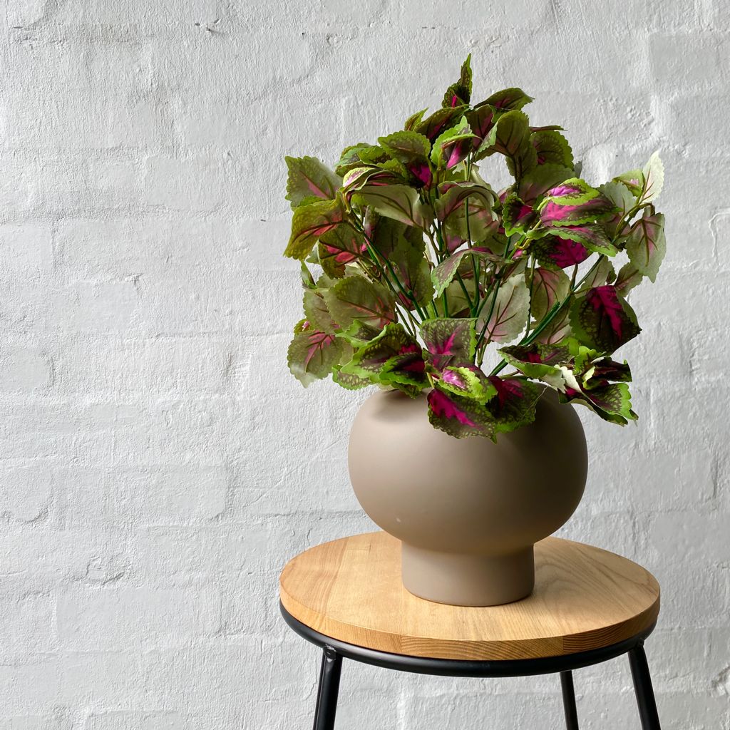 Artificial Coleus Plant