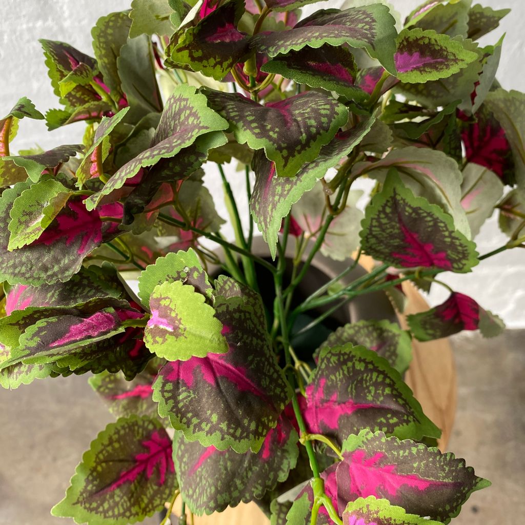 Artificial Coleus Plant