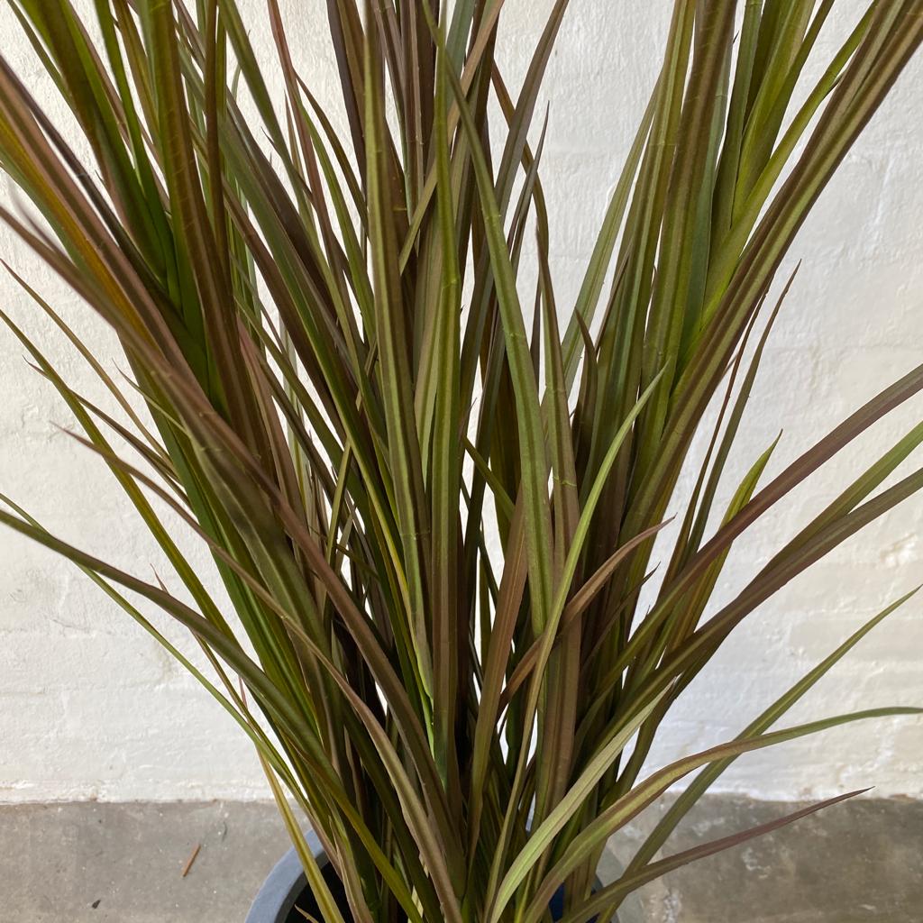 Artificial Yucca Grass-Dark Green