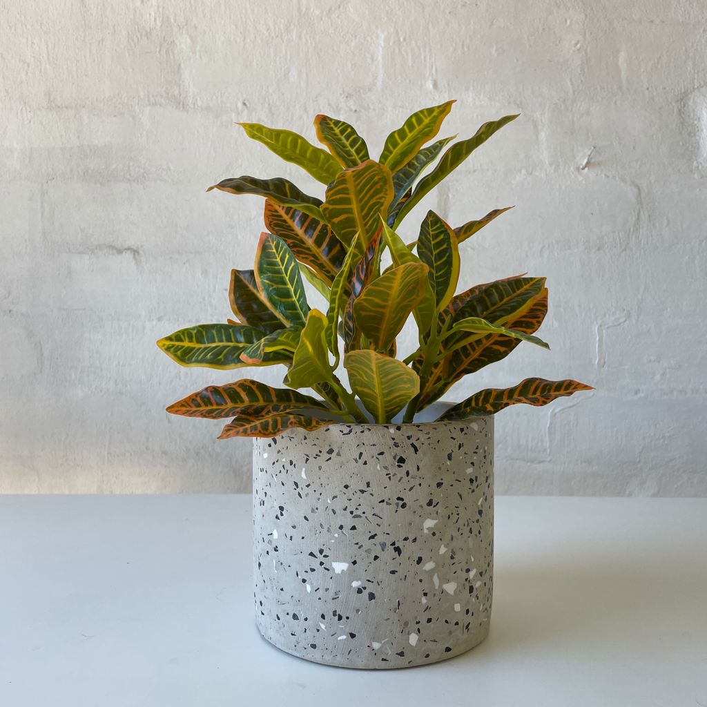 Artificial Croton Plant-Small