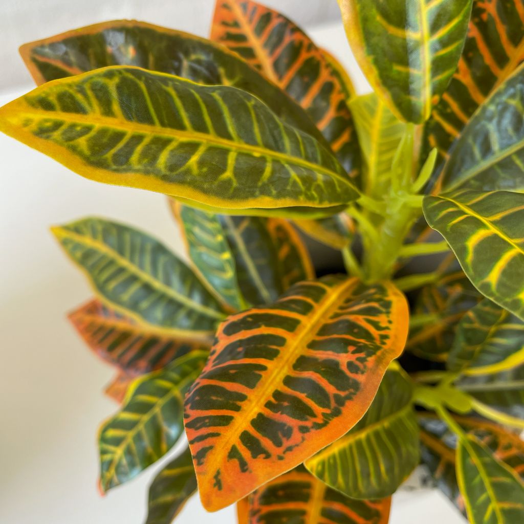 Artificial Croton Plant-Small