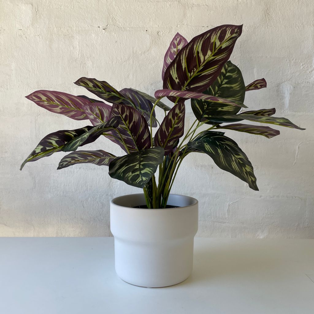 Artificial Calathea-Small