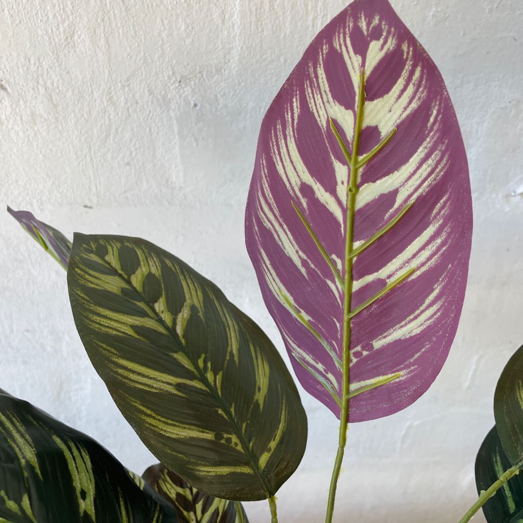 Artificial Calathea-Small