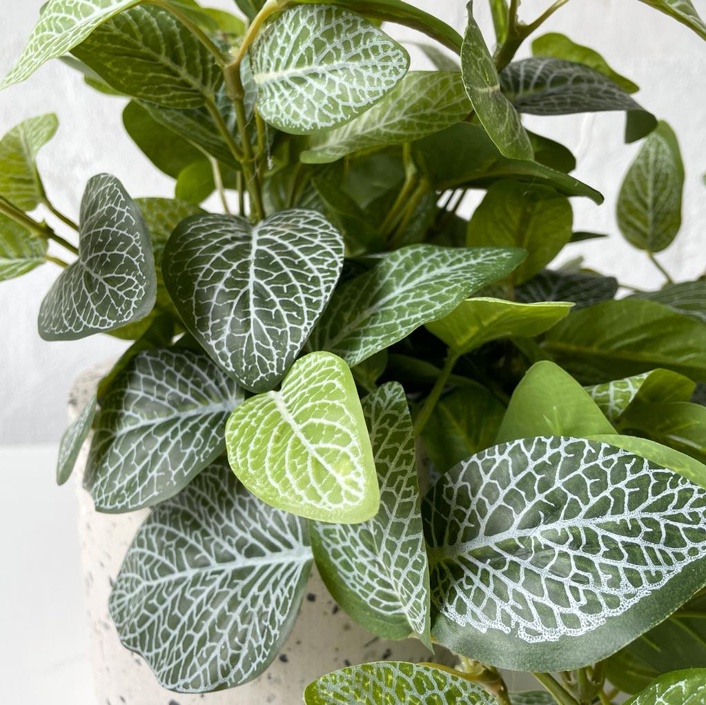 Artificial Fittonia Hanging Plant