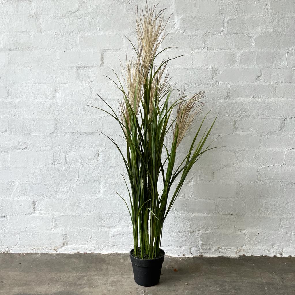 Artificial Pampas Grass Tree-Brown