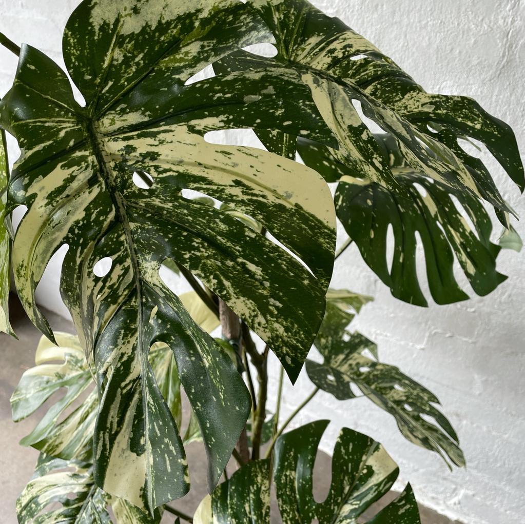 Artificial Variegated Monstera