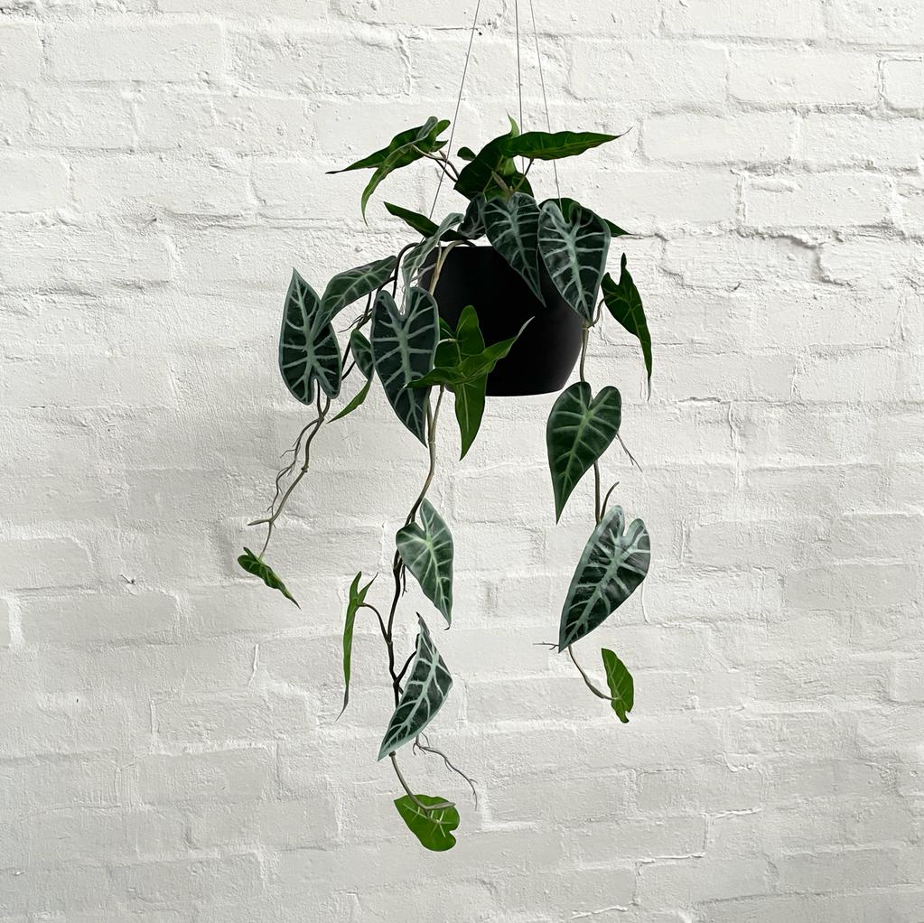 Artificial Alocasia Bambino Hanging Plant