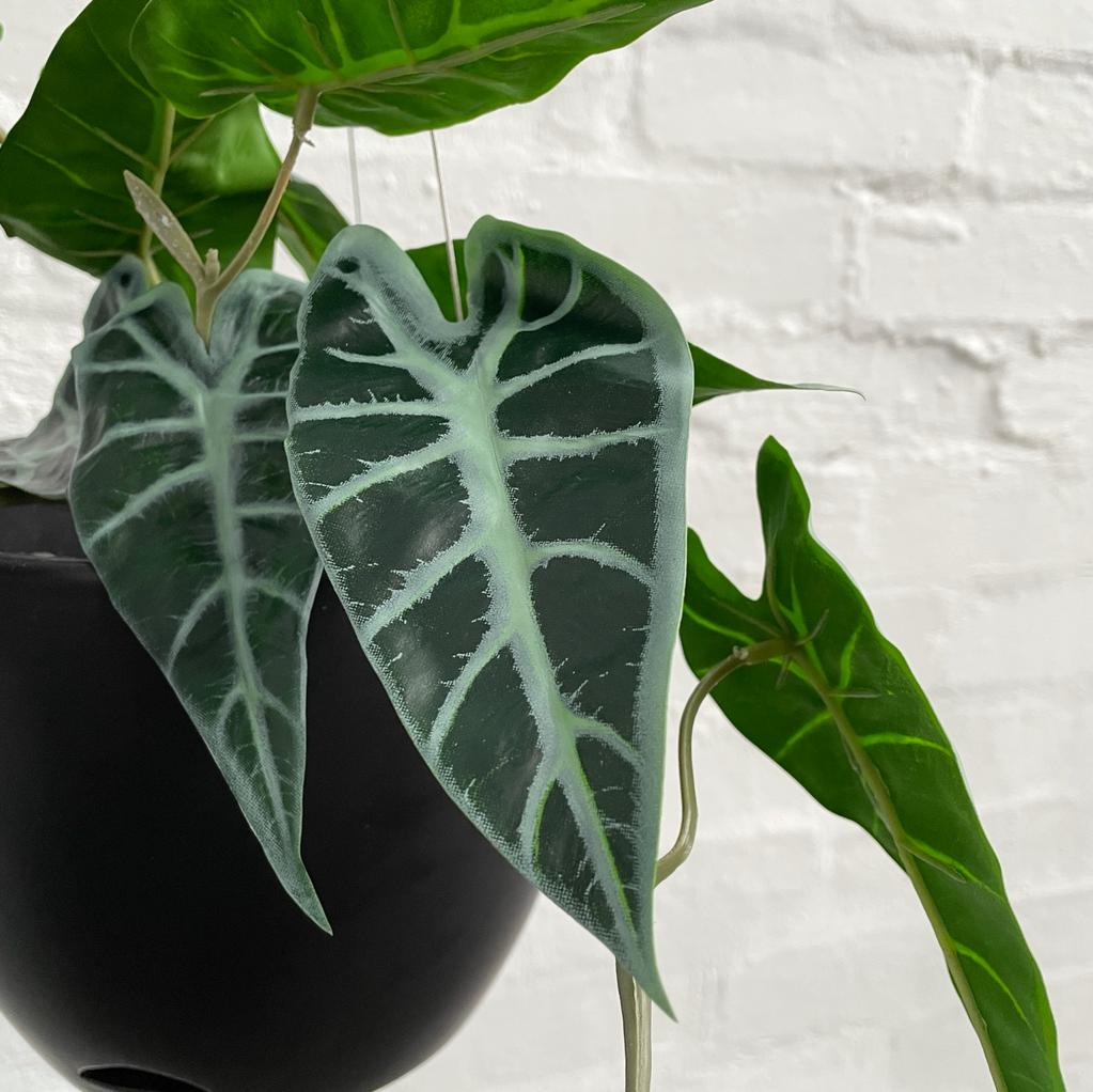 Artificial Alocasia Bambino Hanging Plant