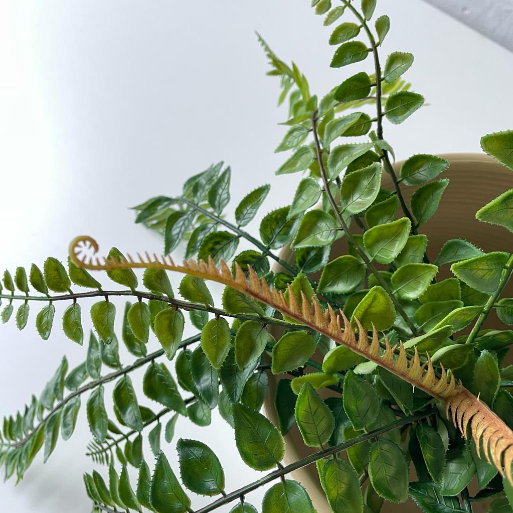 Artificial Jewel Fern