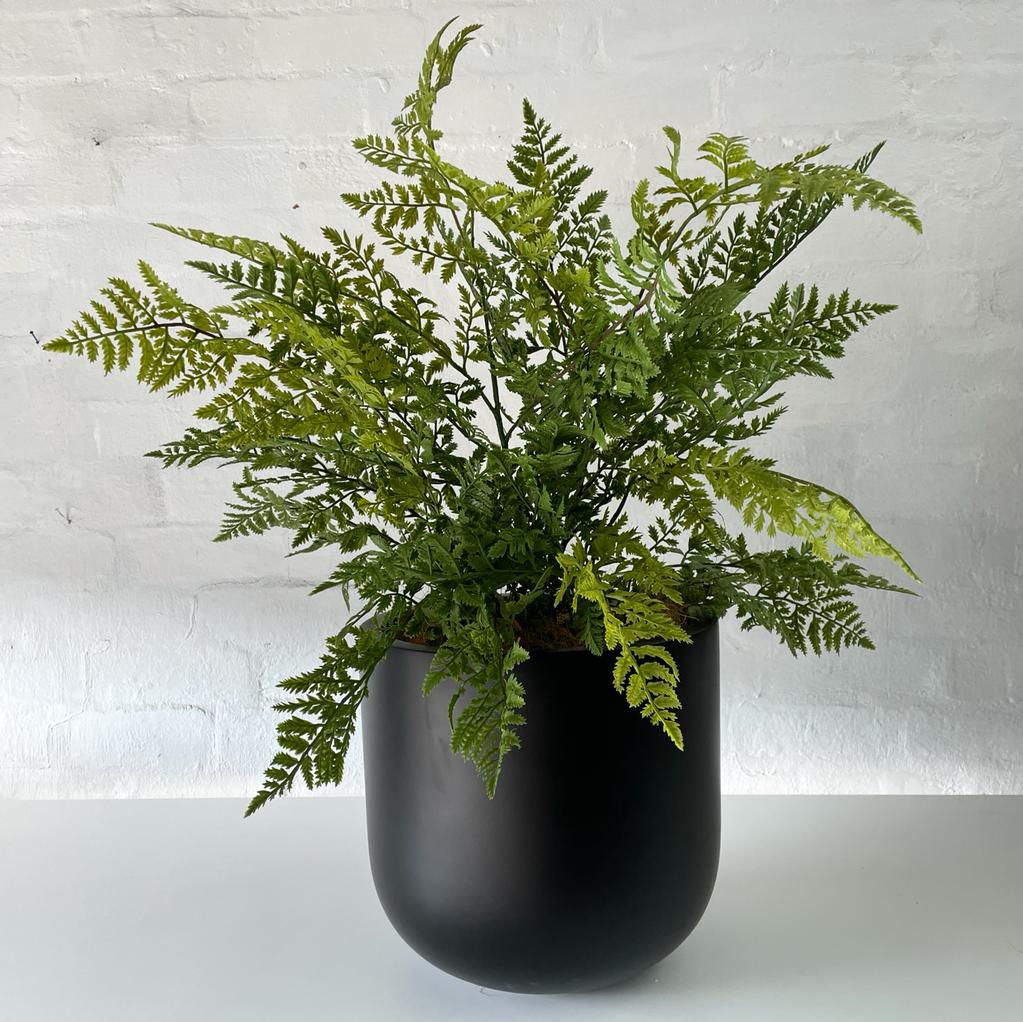 Artificial Royal Fern-Outdoor Plant