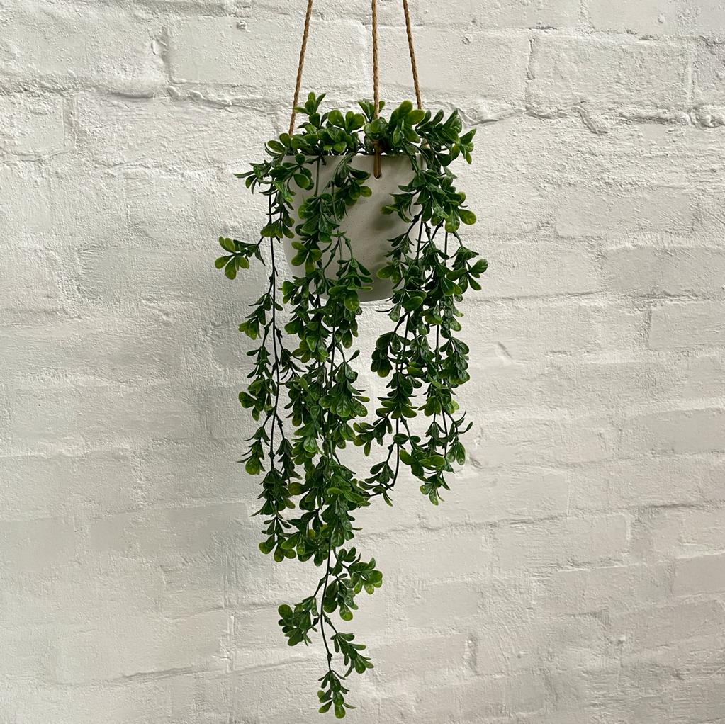 Artificial Hanging Ruscus-Outdoor